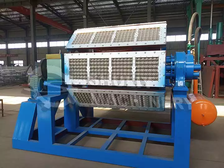 Egg Tray Production Line | Egg Tray Machine