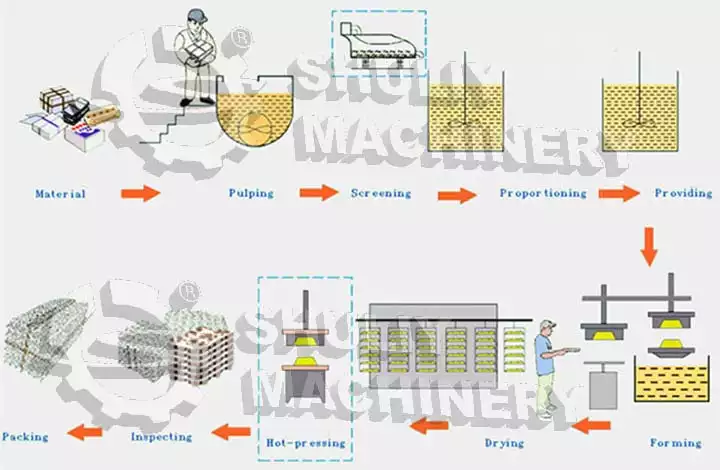 Diagrama de flujo de la línea de producción de bandejas de huevos.