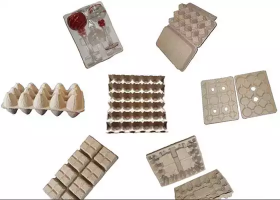 pulp paper trays