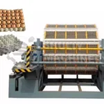 Máquina para fabricar bandejas de huevos de papel 6000 unidades por hora