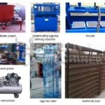 Equipo a juego para la máquina formadora de bandejas de huevos 1000pcs/h