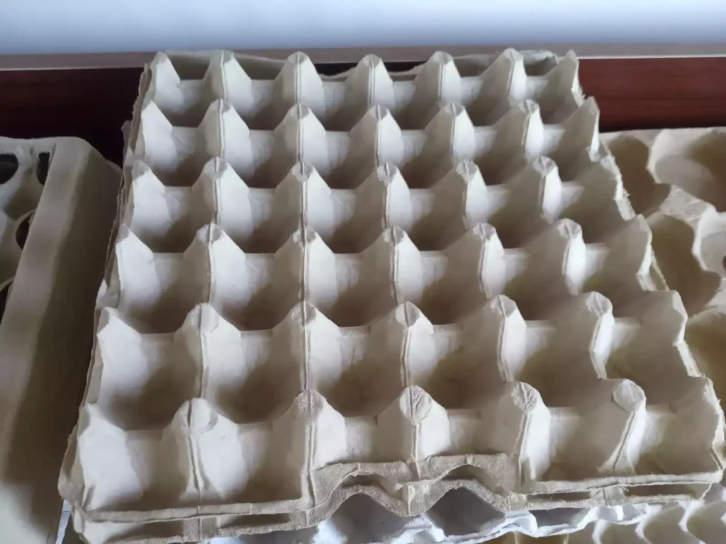 Sl-4*1 Egg Tray Machine For Lebanon To Expand Eco-Packing Business 2 Egg trays
