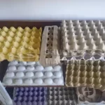 negócio de bandeja para ovos
