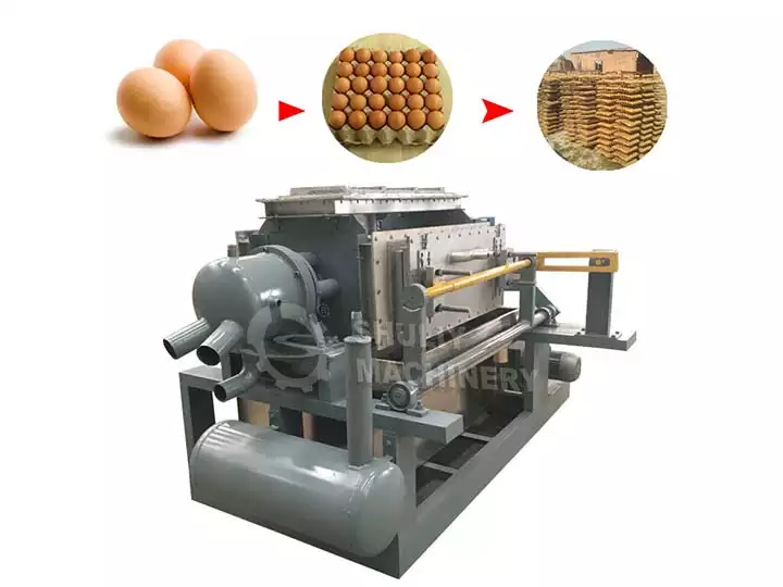 The prospect of egg tray maker in the poultry and egg industry