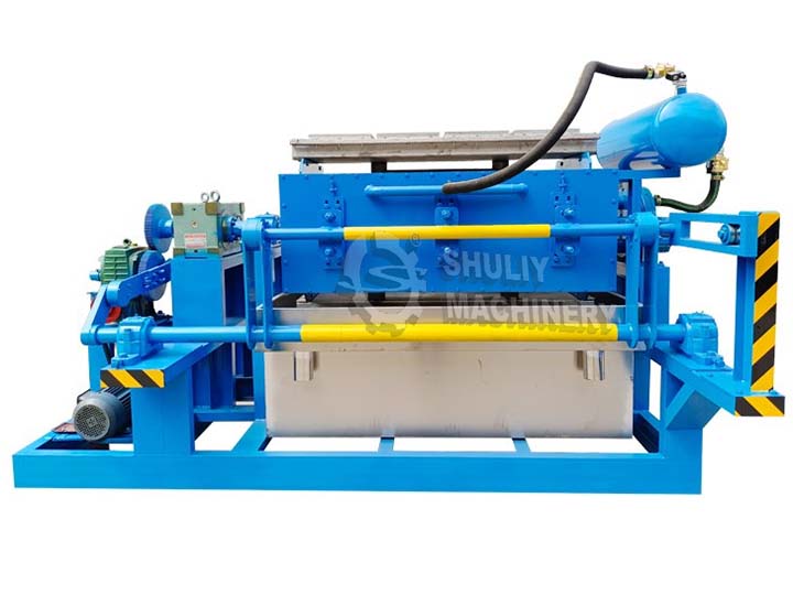 Egg tray making machine South Africa: good investment in eco-friendly area