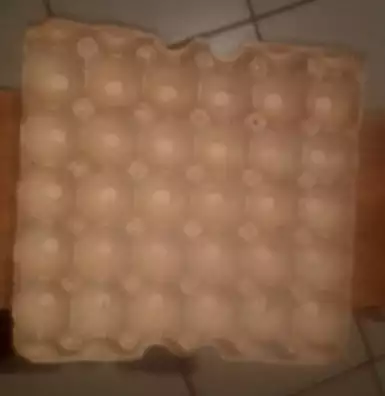 Egg tray shape