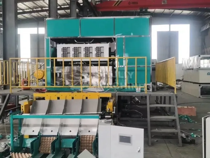 Egg carton making machine with collection