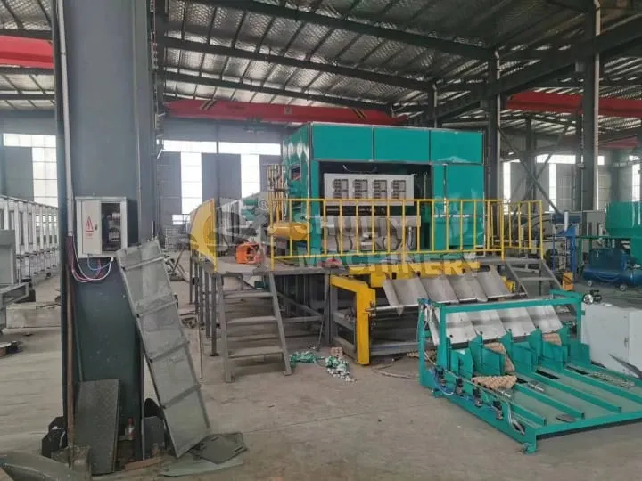 Paper tray molding machine with collection