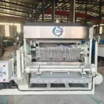 آلة تصنيع صواني البيض جديدة الصنع