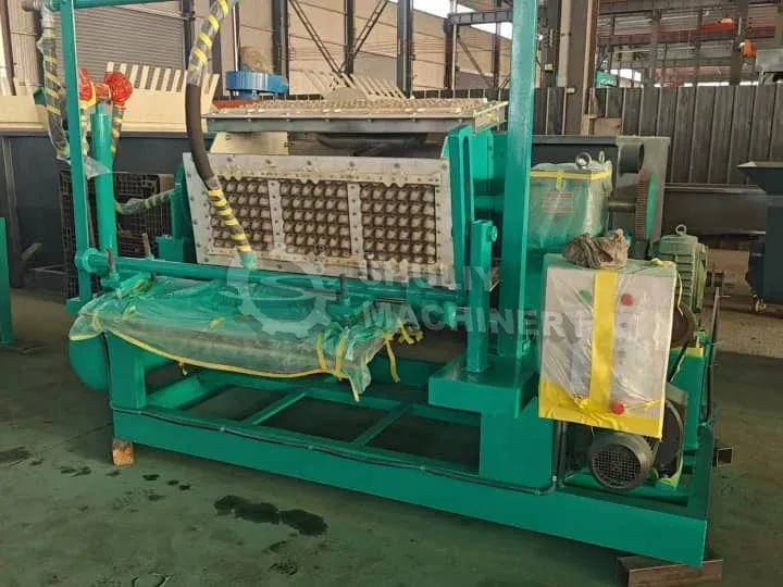 Send 2000-2500pcs/h egg tray machine to Nigerian hen farm
