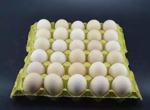Send 2000-2500Pcs/H Egg Tray Machine To Nigerian Hen Farm 3 30 eggs packaging per tray