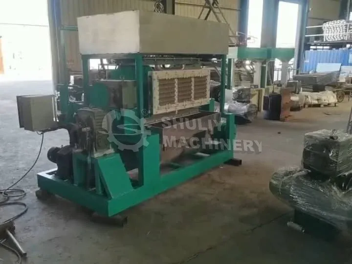 Send 2000-2500Pcs/H Egg Tray Machine To Nigerian Hen Farm 4 Automatic paper egg tray machine