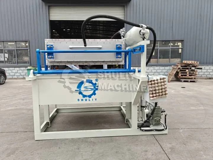 Egg tray maker for sale