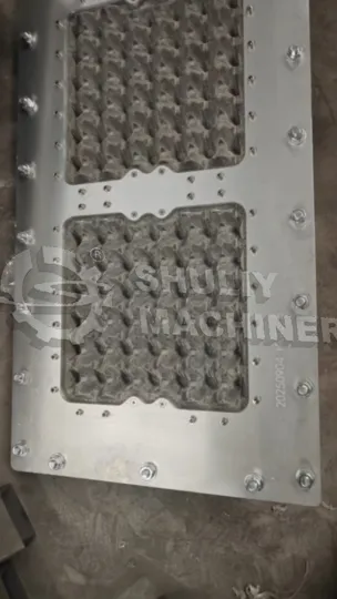 Startup Solution: 1000Pcs/H Egg Tray Machine For Guinea 3 Egg tray mold for inspection