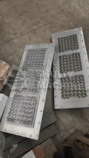 Startup Solution: 1000Pcs/H Egg Tray Machine For Guinea 4 Egg tray molds