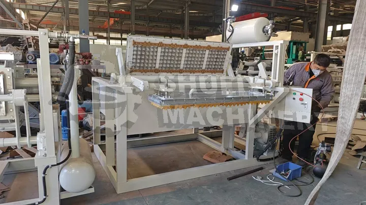 Маленькая машина для производства яичных лотков от Shuliy