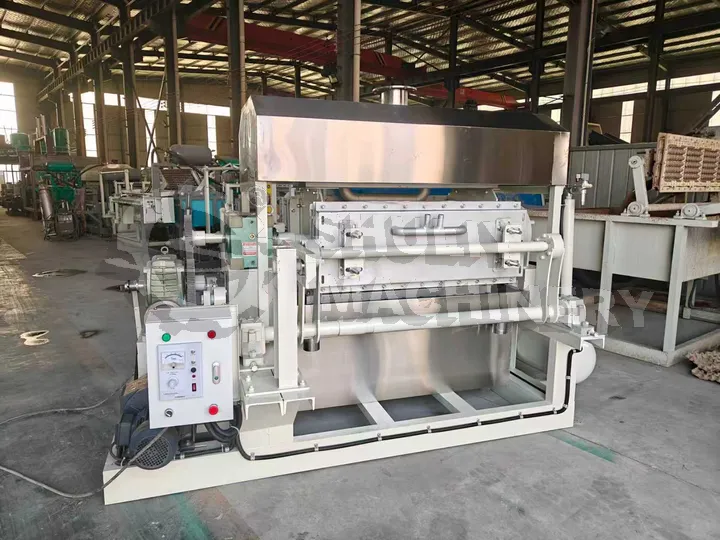 Egg tray machine turkey